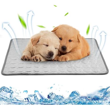 Tapis rafraîchissant en soie glacée pour chiens et chats - 60 x 50 cm - Convient pour canapé, panier ou cage - Lavable - Idéal pour l'été et les fortes chaleurs (1/4)