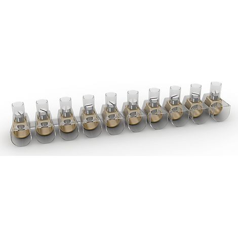 Confezione Lotto 100 Pezzi Morsetti Stecche Morsetto Trasparente Isolante Serraggio Vite Per Cavi Elettrici fino a 10 mm (1/2)