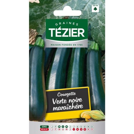 Tezier - Courgette Verte noire maraîchère (1/2)