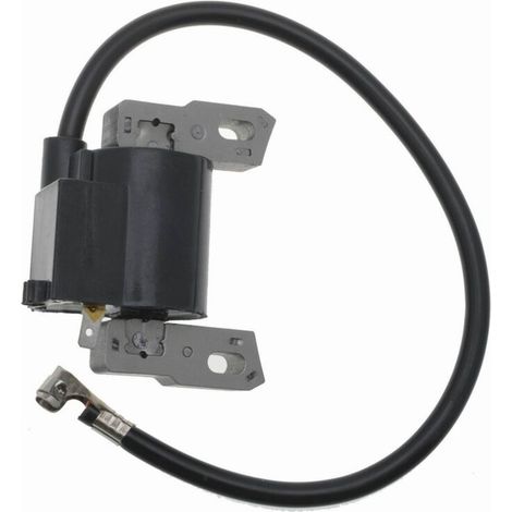 Bobine d'allumage pour Briggs & Stratton 794854 796964 695711 (1/3)