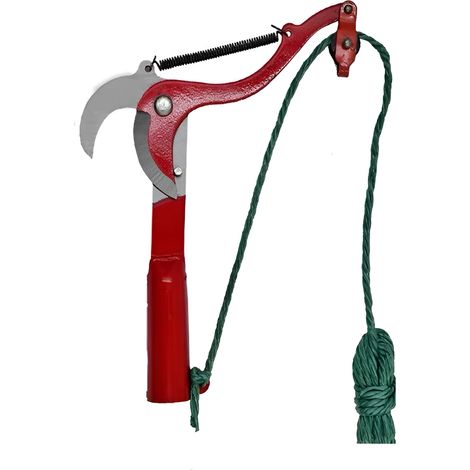 Scateurs lagage darbres coupe de branches jardinage et (1/5)