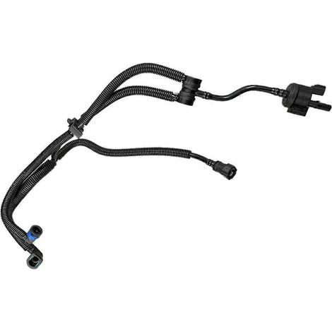 Entlüftungsventil-Schlauchbaugruppe für Kfz-Aktivkohlefilter DG9Z-9D289-PPL für-- (1/5)