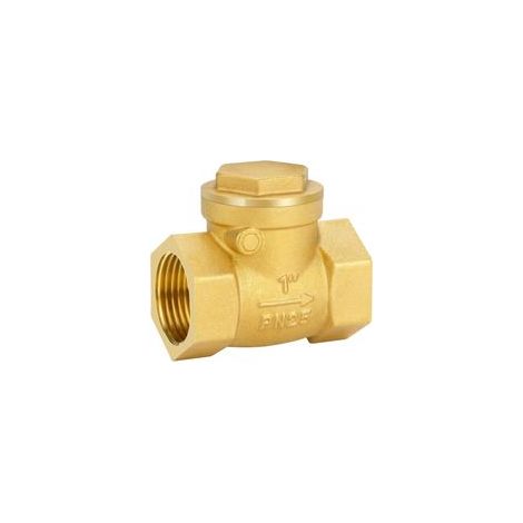 1 articleClapet Anti Retour, Filetage Femelle en Laiton, Clapet Anti Retour 1" Check Valve DN25 Filetage Intérieur pour Raccords de Tuyaux