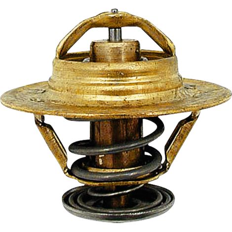 TERMOSTATO NEW HOLLAND FIAT NEW HOLLAND 04569187 98463637 87608577 5088484 (1/2)