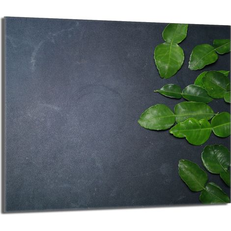 Placa de protección de estufa de vidrio 60x52 Pizarra (1/5)