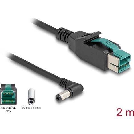 Delock Cable PoweredUSB macho 12 V a DC 5,5 x 2,1 mm macho sesgado 2 m