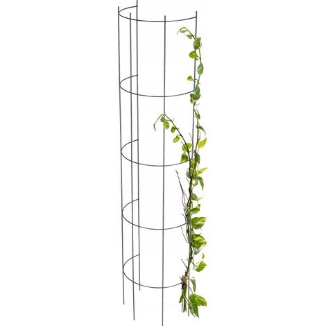 KADAX Pergola de Jardin Support Métallique pour Fleurs Roses Plantes Colonne 150cm (1/5)