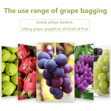 100 Sac Protection Fruits Sacs Filets Protection des Grappes de Raisins Contre Les Oiseaux et Insectes Guêpes Frelons 30 x 20 cm