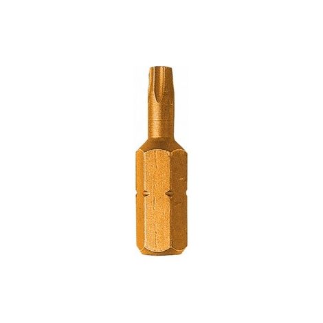 Leman - Embout de Vissage Titane Torx T25 / 25mm