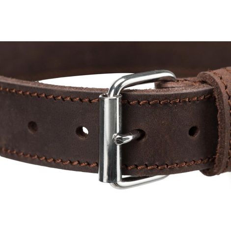 TRIXIE 19008 RUSTIC COLLIER EN CUIR GRAS 130,95 G