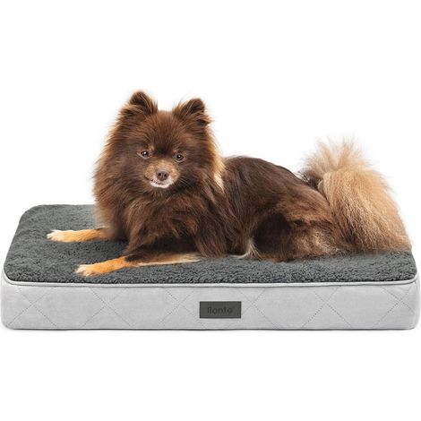 1 lit orthopédique pour chien, 60x40x8 cm, housse lavable, antidérapant, imperméable, peluche douce, gris (1/5)