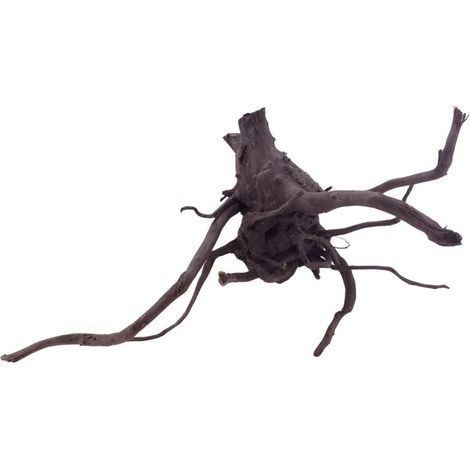 XL Black Spider Wurzel Nr.5274 Fingerwurzel Echtholz Deko Aquascaping