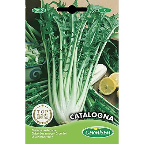 Germisem graines Chicorée sauvage CATALOGNA (1/2)