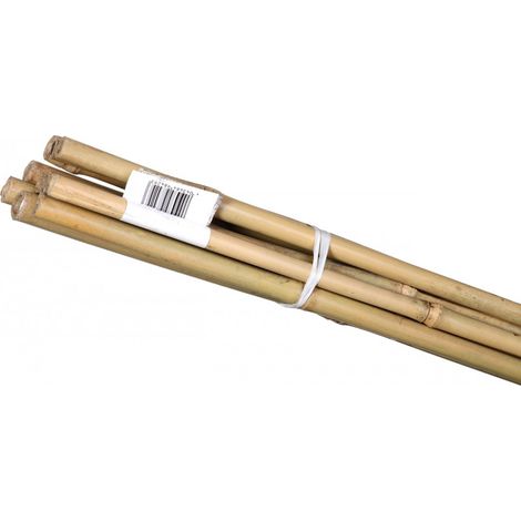Bâton de bambou 150 cm – Lot de 10 pièces – Diamètre 6 à 14 mm – Treillis naturel pour plantes intérieures et extérieures – Bauherr