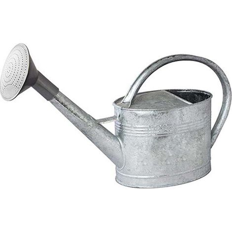 Arrosoir acier galvanisé avec pomme 6 litres (1/5)