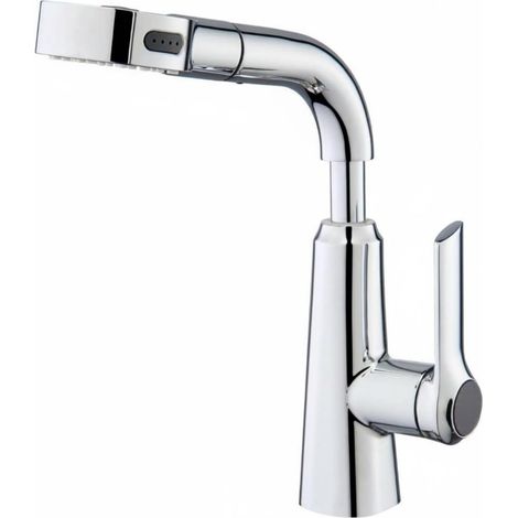 Robinet extractible, chromé, pour lavage du visage et vasque (1/5)