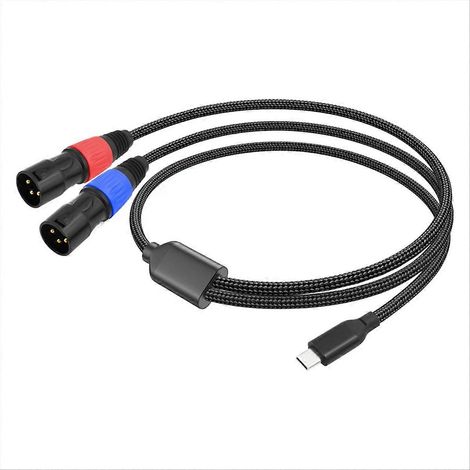 Câble audio AUX USB-C vers 2 XLR mâles, 100 cm (1/5)
