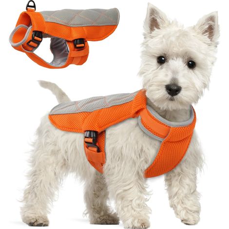 Veste de Refroidissement pour Chien Gilet Réfraîchissant Réglable et Réfléchissant pour Chien Petit, Moyen et Grand Manteau d'été Anti-Coup de Chaleur pour Chasse Randonnée Camping (1/5)