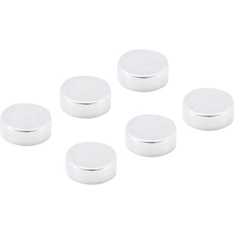 BGS Jeu d’aimants extrapuissants Ø 8 mm 6 pièces (1/4)