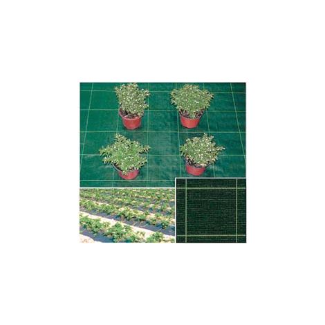 TELO IN RAFIA PER PACCIAMATURA VERDE- - mt.10x1,05h. - 10.5 mq T-REX