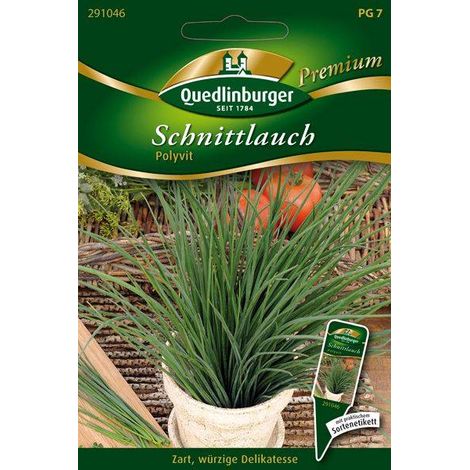 Quedlinburger Schnittlauch Polyvit - Kräutersamen