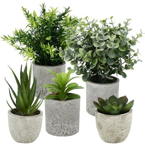 5 Pieces Plantes Artificielle, Mini Plantes artificielles Interieur Serpentine, Agave succulentes, Griffe d'aigle Aloe Vera, pour Chambre Bureau Decoration (1/5)