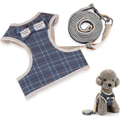 Harnais de Sécurité pour Chien avec Laisse, Design Step-in Réglable, Maille Ultra-Légère et Respirante, Idéal pour Les Chiens Actifs (1/5)