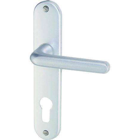 1 Poignée De Porte Sur Plaque Aluminium, Cylindre 165 Mm, Argent, Pour Porte Intérieure Et Extérieure