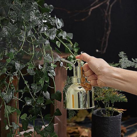 Vaporisateur en laiton doré Lianshi pour plantes et fleurs d'intérieur, 300 ml (10,56 oz), lot de 1. (1/5)