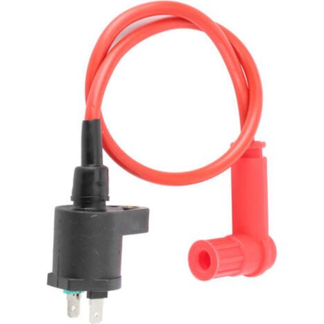 Module de bobine d'allumage adapté pour GX22/110cc 125cc 150cc 200cc 250cc Dirt Pit ATV Quad moto (1/5)