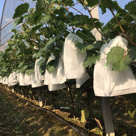 100 Stück Garten-Trauben-Fruchtschutzbeutel Obstwald Gemüse