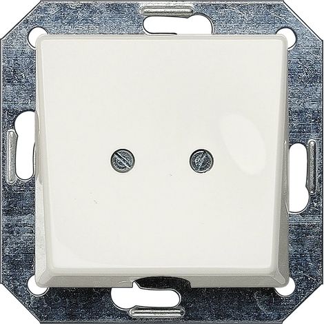 Siemens DELTA i-system Placa de salida, titanio blanco, 5TG2566