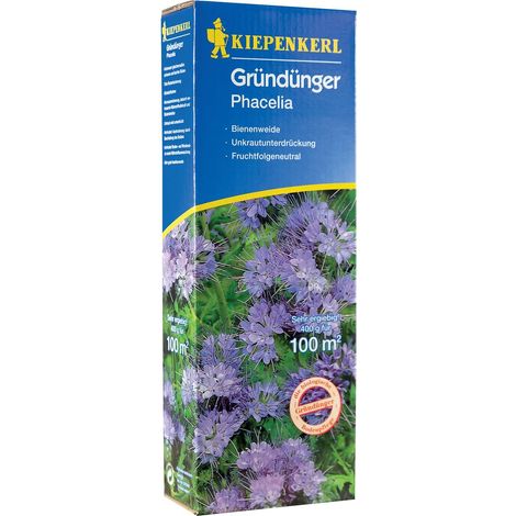 Kiepenkerl Gründünger Phacelia Phacelia tanacetifolia, Inhalt 400 g Gemüsesamen (1/2)