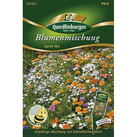 Quedlinburger Saatgut – Mélange de fleurs « Sprint Mix » – Graines de fleurs annuelles à floraison rapide, 50-80 cm