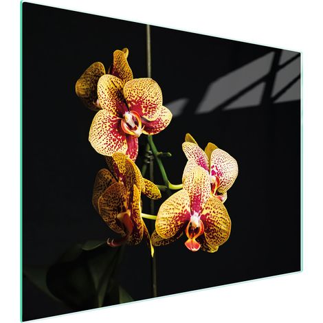 TABLA DE CORTAR DE VIDRIO 52x40 ORQUÍDEA (1/5)