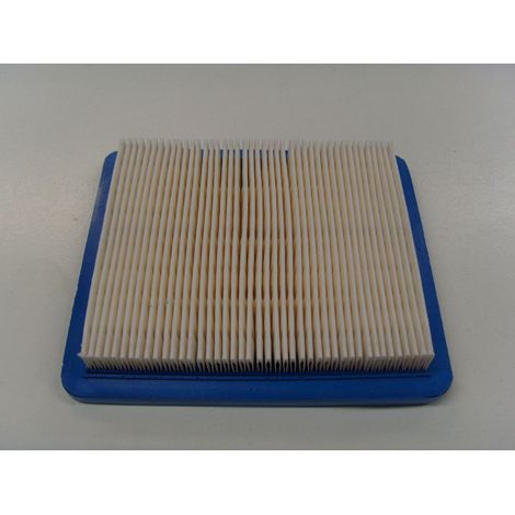 Filtro aria rasaerba tagliaerba tosaerba 3-932 BRIGGS & STRATTON 399959 491588S