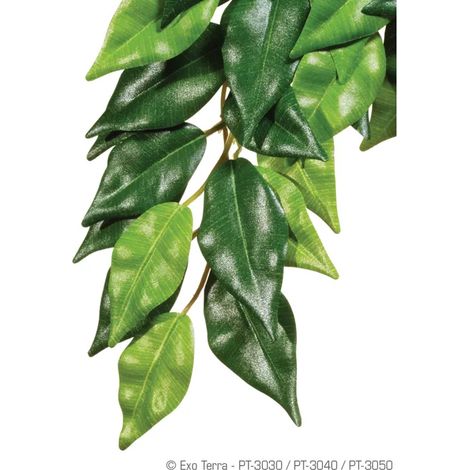 Terrario exo-terra ficus pianta artificiale 25x40 cm realistica