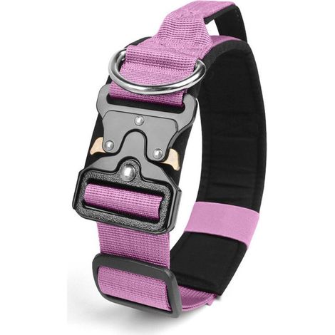 Collare M, circonferenza collo 38-48 cm, larghezza 3,8 cm, per un peso di 13-28 kg, collare per animali domestici, collare per cani, regolabile, collare per cani rinforzato Z (1/5)