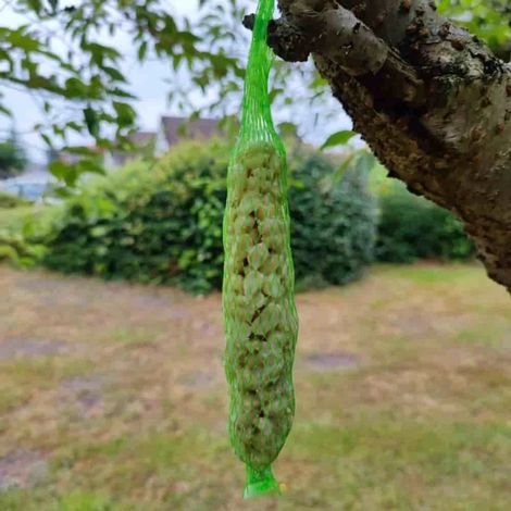 Nourriture pour Oiseaux Sauvages - Bâtonnets d'Arachide, Lot de 2 (1/3)