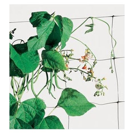 Tenax Rete Plastica Flora Mt 2,00X 5 (1/3)