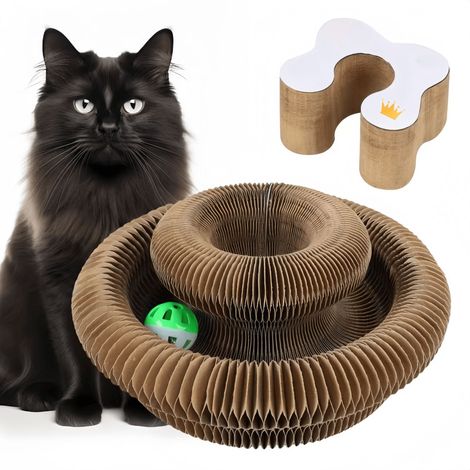 Giocattolo interattivo per graffiare Magic Organ: l'esercizio fisico e mentale interattivo definitivo per i gatti che vivono in casa