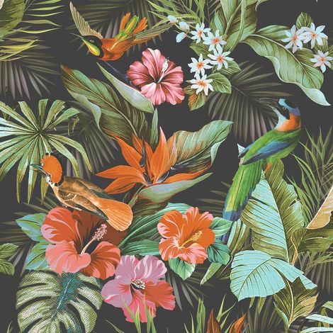 Rasch Vasari Tropical Paradise Birds Multi Black Wallpaper Luxury Textured Vinyl (1/5)