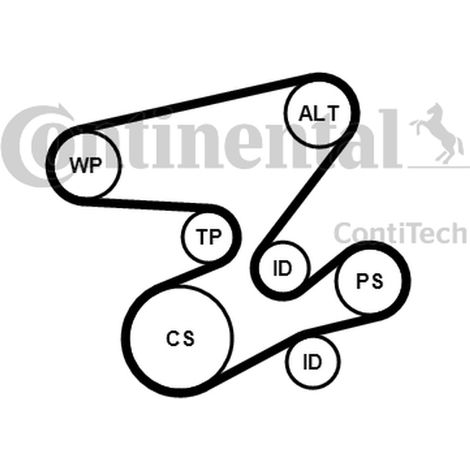 Kit Correas Multi-V Contitech BMW E46/E60 2.0D/3.0D (1/4)