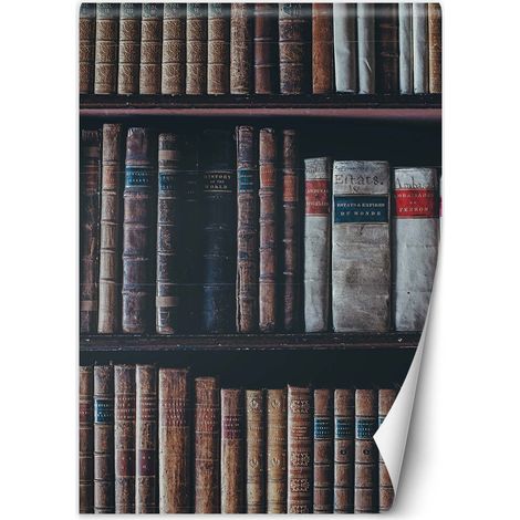 Papier peint Bibliothèque 200x280 (1/5)
