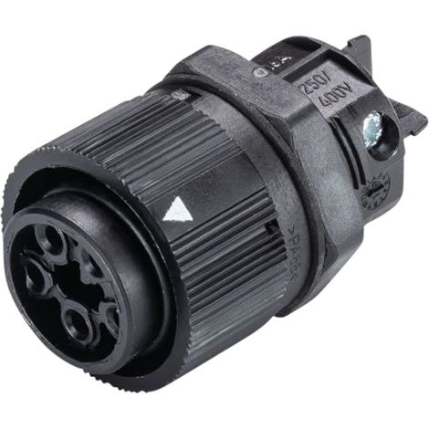 Wieland Electric 46.051.5053.1 Rundstecker Buchse, Einbau Gesamtpolzahl: 4 + PE Serie (Rundsteckverb