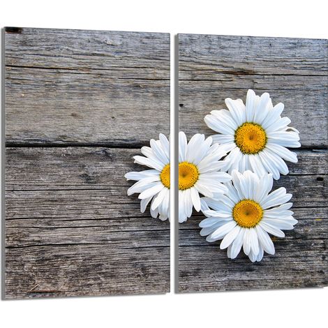 Placa protectora de vidrio para la estufa 2x30x52 Daisy (1/5)