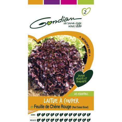 Gondian - Laitue a couper Feuille de chene Rouge