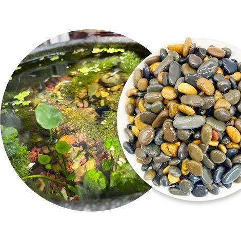 Sable naturel pour aquarium décoration 5 kg modèle 15