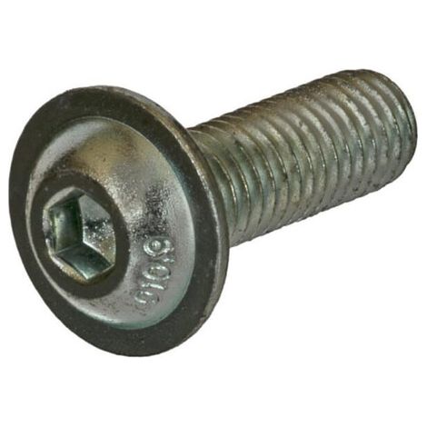 Vis UNIVERSEL ISO7380ULF1012109