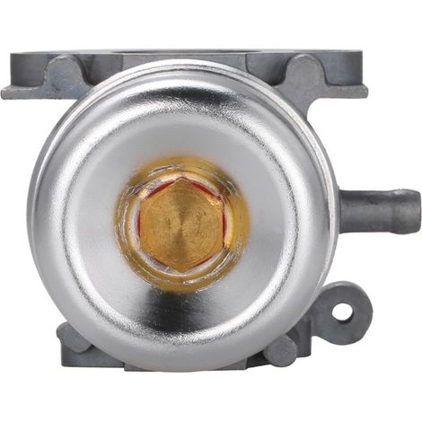 Carburateur pour Briggs & Stratton 799871 790845 799866 796707 794304. (1/5)
